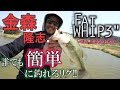 金森隆志[FW3"重ヘッドワッキー]を語る!!