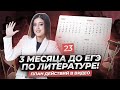 Ровно 3 месяца до ЕГЭ по литературе! Что делать?