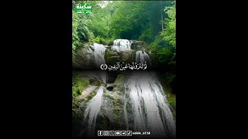 سورة التكاثر كاملة بصوت القارئ هزاع البلوشي #القران_الكريم #سَكِينة #هزاع_البلوشي