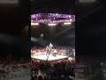 The Bludgeon Brothers New Theme WWE Live