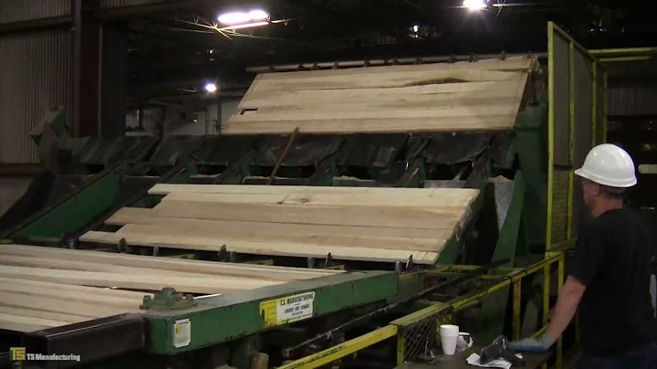 TS Trimmer at Bradford Forest Products