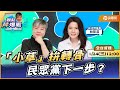 【LIVE 全台首播】「小草」拚轉骨 民眾黨下一步？ ft.林筱淇｜黃光芹-觀點芹爆戰101｜品觀點