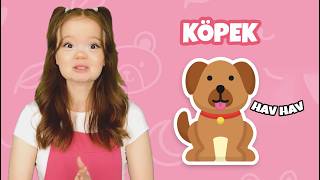 🐶 Hayvan Seslerini Öğreniyorum | Çocuklar İçin Eğitici Video | 0-5 Yaş Bebek ve Çocuk Şarkıları
