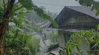 Heavy Rain in an Inland Village House is Very Suitable for Helping You Sleep Quickly, ASMR Rain