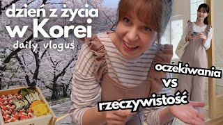 Koreańskie zakupy - oczekiwania a rzeczywistość, kwitnące wiśnie i inne - daily vlog z Korei