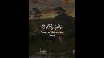 تلاوه طيبه بصوت القارئ : احمد خضر 🌱 Ahmed Khader#quran