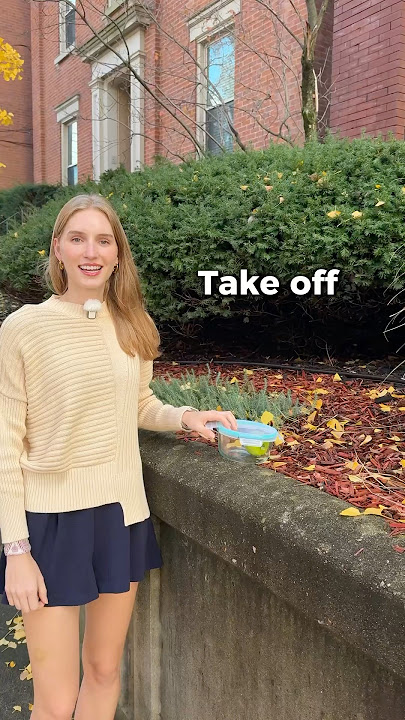 Phrasal verbs in English #gringa #english #ariannitalagringa #american