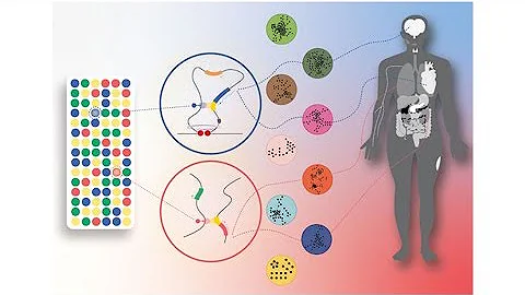 Establishing gene regulatory networks from Parkins...
