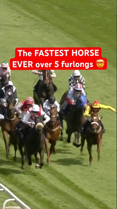 THE FASTEST HORSE EVER OVER FIVE FURLONGS 😮🚀 #horse #epsomdowns #horserace #horseracing