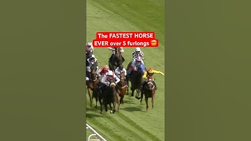 THE FASTEST HORSE EVER OVER FIVE FURLONGS 😮🚀 #horse #epsomdowns #horserace #horseracing