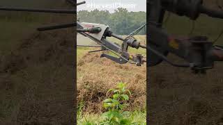 Ohio Farming - Moving Fast Hay - CASE IH 145 - CLAAS 1700 Liner Rake #harvestchaser