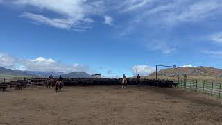 IMG 6333