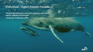 DHI Webinar  Introduction to ecosystem modelling with MIKE ECO lab