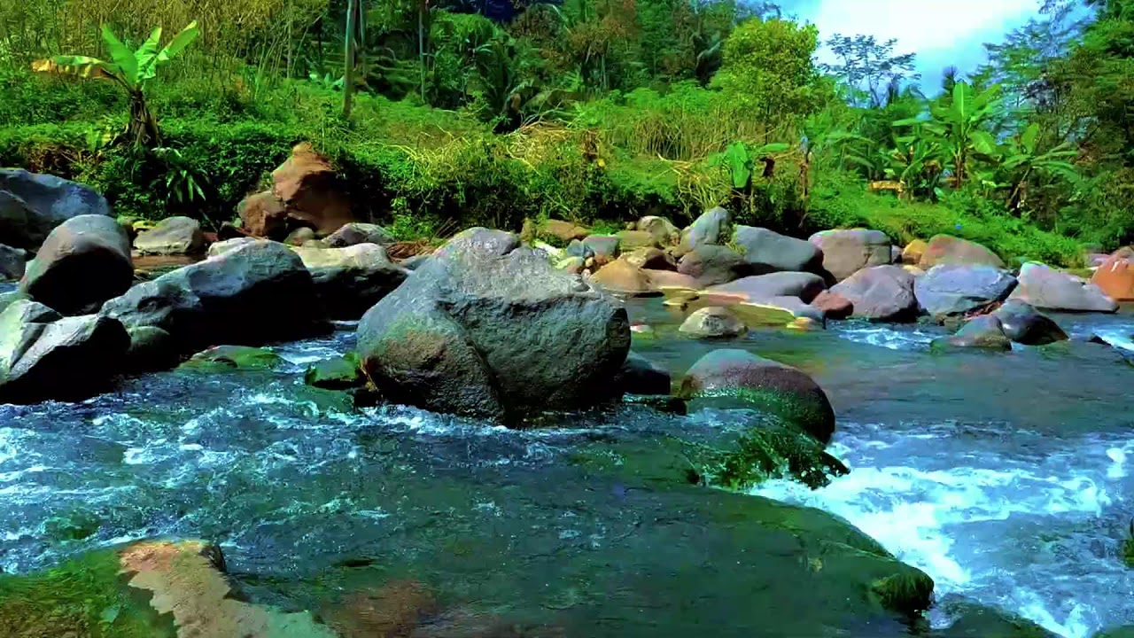 Calming Forest Ambience with Flowing River in Hidden Forest for Deep Rest and Natural Healing