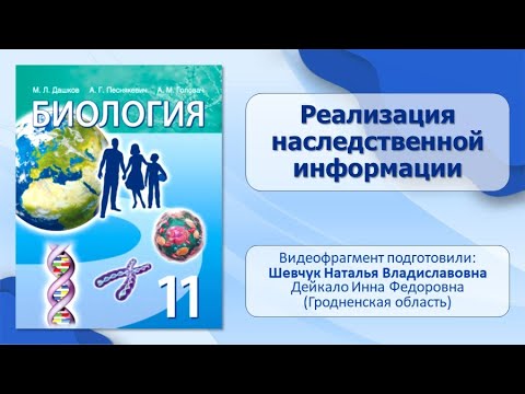 Тема 24. Реализация наследственной информации