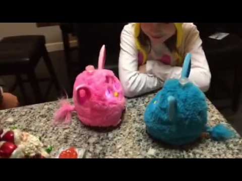Two Furbys talking to each other
