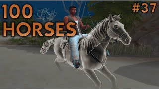 The Rancher struggles with Ranching! // Sims 4: 100 Horses Challenge - Episode 37