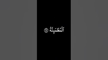 يَقولُ يا لَيتَني قَدَّمتُ لِحَياتي || كروما قران كريم شاشة سوداء || محمد اللحيدان
