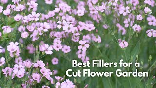 Best Filler Flowers for a Cutting Garden