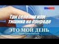 Три селезня или тишина на природе. Это мой день. Выпуск от 24.04.2019