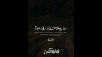 ﴿… وما الحياة الدنيا إلا متاع الغرور﴾ | القارئ: عبدالملك الحسين