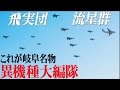 ド迫力!これが岐阜基地名物・異機種大編隊!