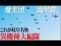 ド迫力！これが岐阜基地名物・異機種大編隊！