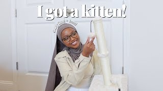 i adopted a kitten.. 🐱🤍 let