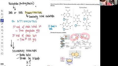 CHM4930 Nucleic Acid Structures 082020
