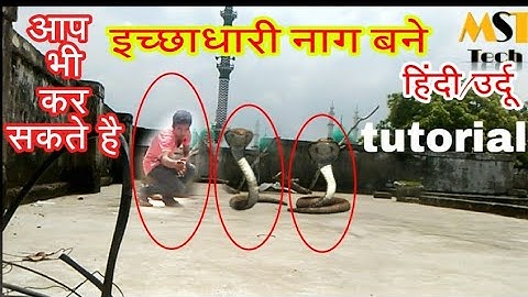 Kine master tutorial || king kobra effect for Android