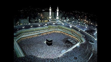 تلاوة هادئة تفيض جمالا أرح بها مسمعك