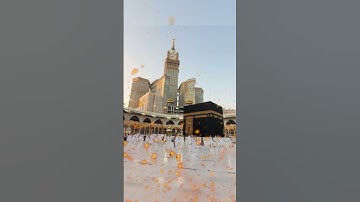 beautiful islamic status #سورة_الإخلاص #ikhlas #quran #beautiful #islamicstatus #love