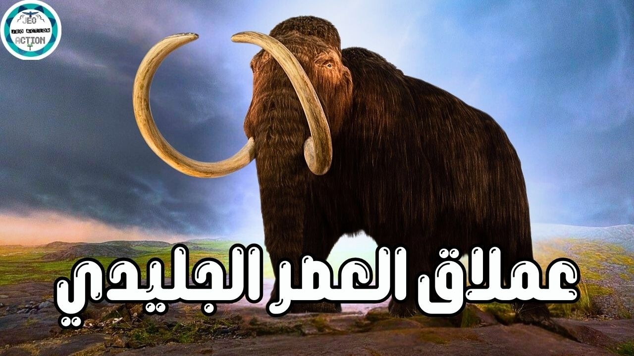 القصة الكاملة للماموث الصوفي ملك العصر الجليدي