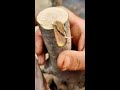 Grafting techniques