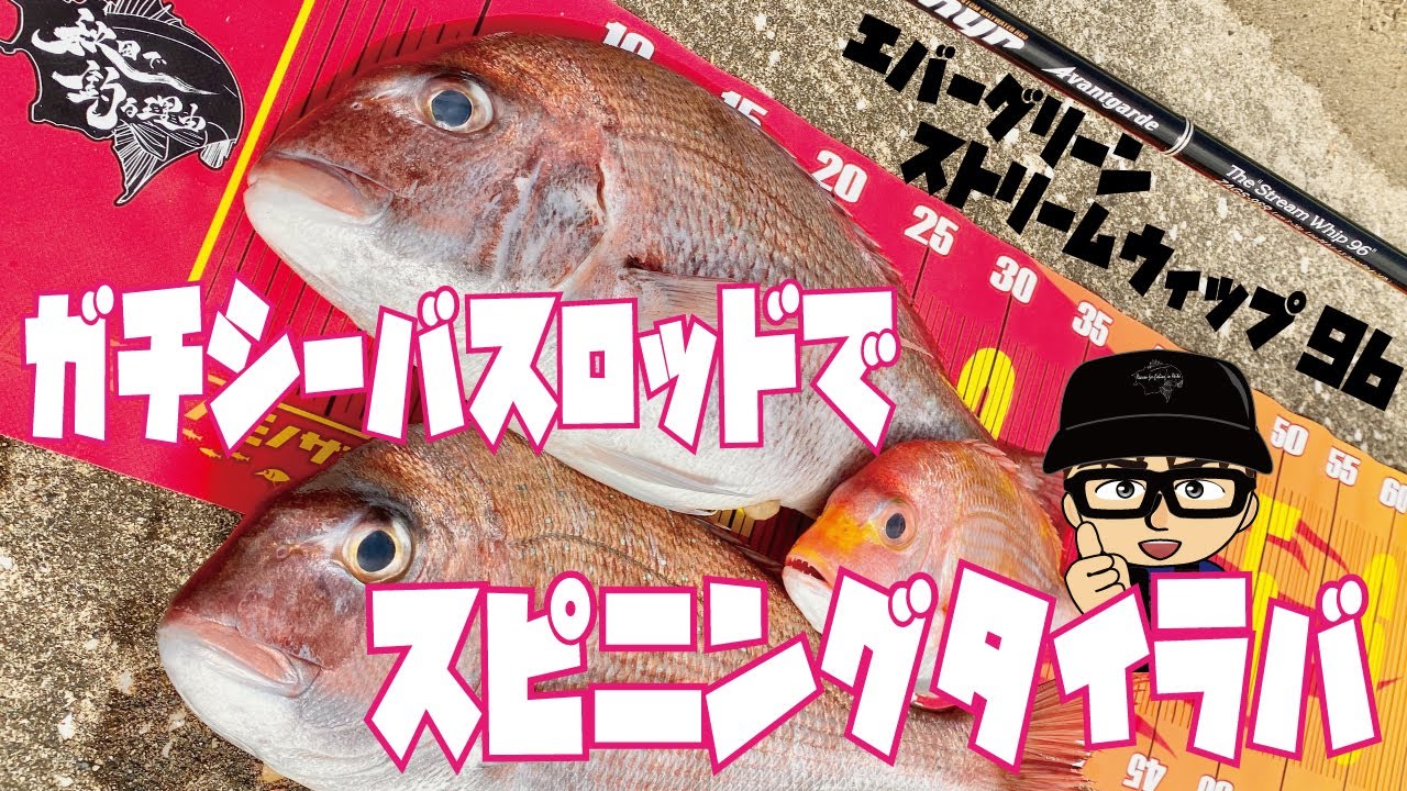 秋田釣り 真鯛 ガチシーバスロッドでスピニングタイラバ Youtube 秋田釣り 真鯛 ガチシーバスロッドでスピニングタイラバ Youtube
