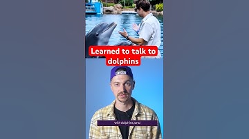 AI Learns Dolphin Language