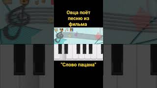 АИГЕЛ – Пыяла [OST "Слово пацана"] (овца поёт кавер на пианино) #shorts