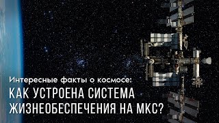 Интересные факты о космосе: как устроена система жизнеобеспечения на МКС?