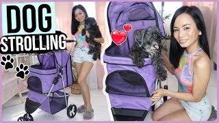 DOG STROLLING TIPS for EASIER DOG LIFE ❤️ DOG STROLLING TIPS for EASIER DOG LIFE ❤️