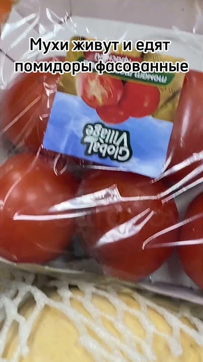 #Просрочка #мухи #пятерочка #помидоры - YouTube