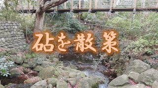 砧公園を散策します。駒澤大学の玉川キャンパス付近まで歩きます！