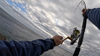 19 YEARS OLD SOLO VS HUGE BLUEFIN TUNA OFF THE ROCKS !! (lost) (+60 kg)