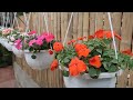 Hanging Garden With Beautiful Flowers For The Garden