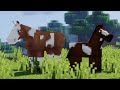 Playing On SWEM! (Modded Minecraft Gameplay)