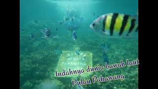 keindahan dunia bawah laut pulau pahawang, lampung.