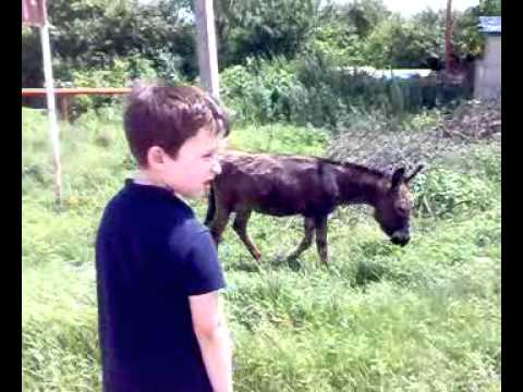 ექსკურსიაზე