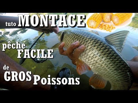 Vidéo: Comment Attraper De Gros Poissons