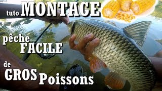 Comment pêcher un gros poisson ?