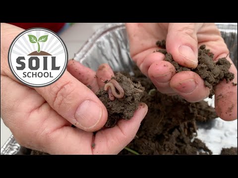 Soil School: Evaluating soil health tests