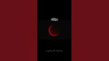 سورة القيامه #قرآن_كريم #اكسبلور #تلاوة_خاشعة #المصحف 